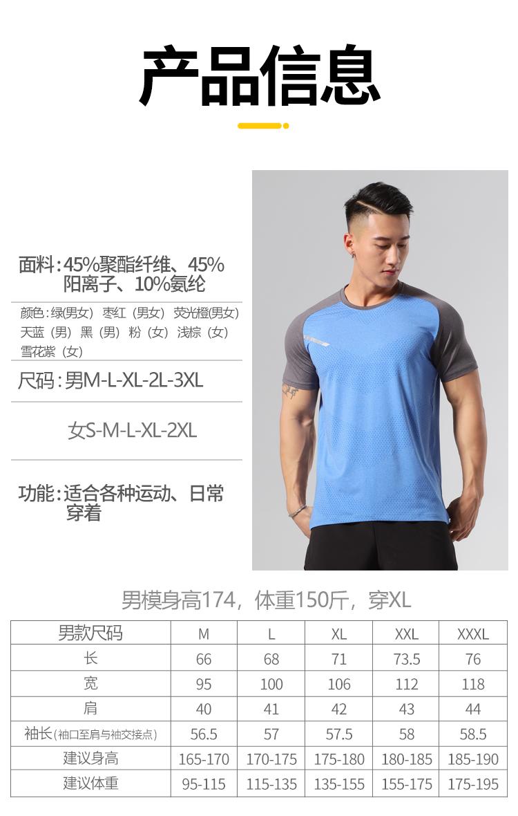 Mens MT005 T-shirt Short Sleeved Round Neck