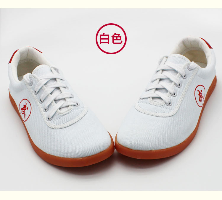 Lightweight, soft and breathable Tai Chi training shoes P04-BW-001