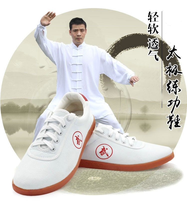 Lightweight, soft and breathable Tai Chi training shoes P04-BW-001