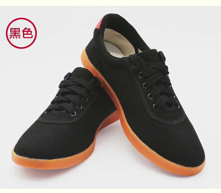 Lightweight, soft and breathable Tai Chi training shoes P04-BW-001