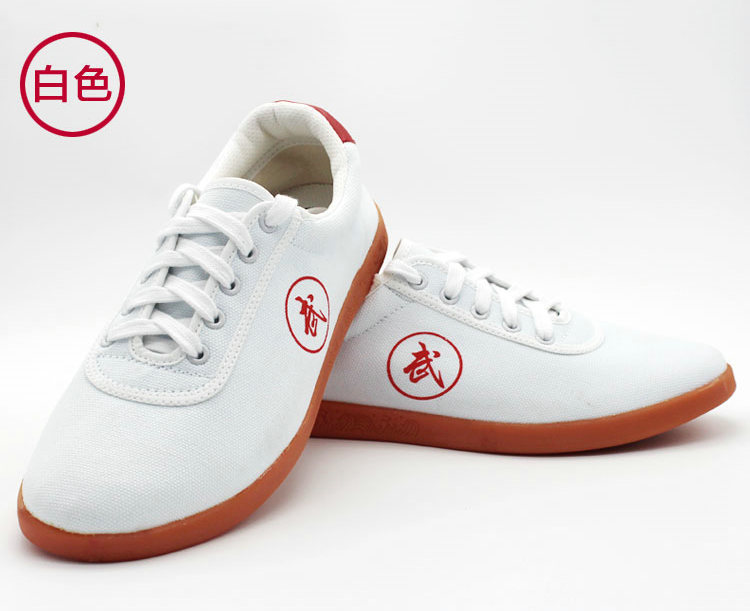 Lightweight, soft and breathable Tai Chi training shoes P04-BW-001