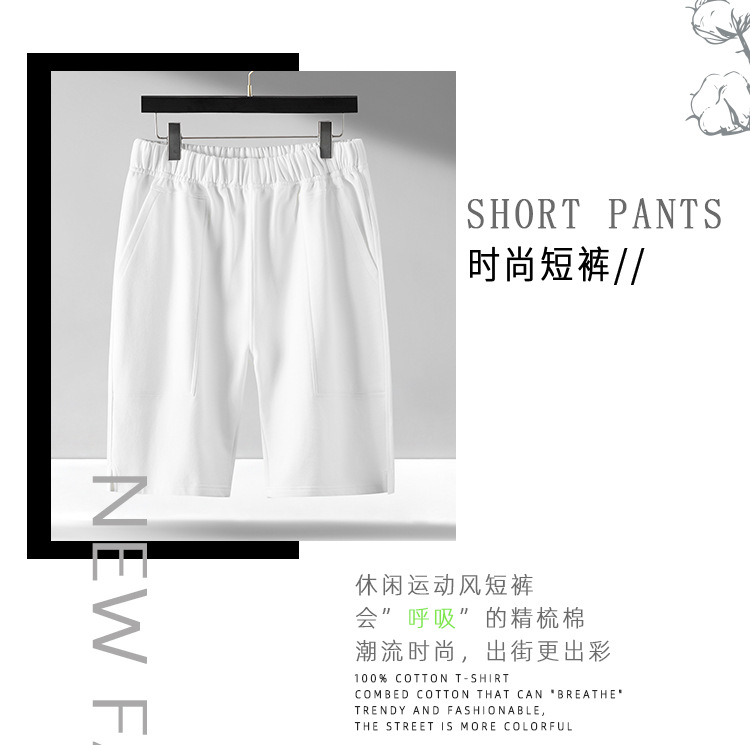 480g heavyweight pure cotton straight shorts for men Z27-STP030