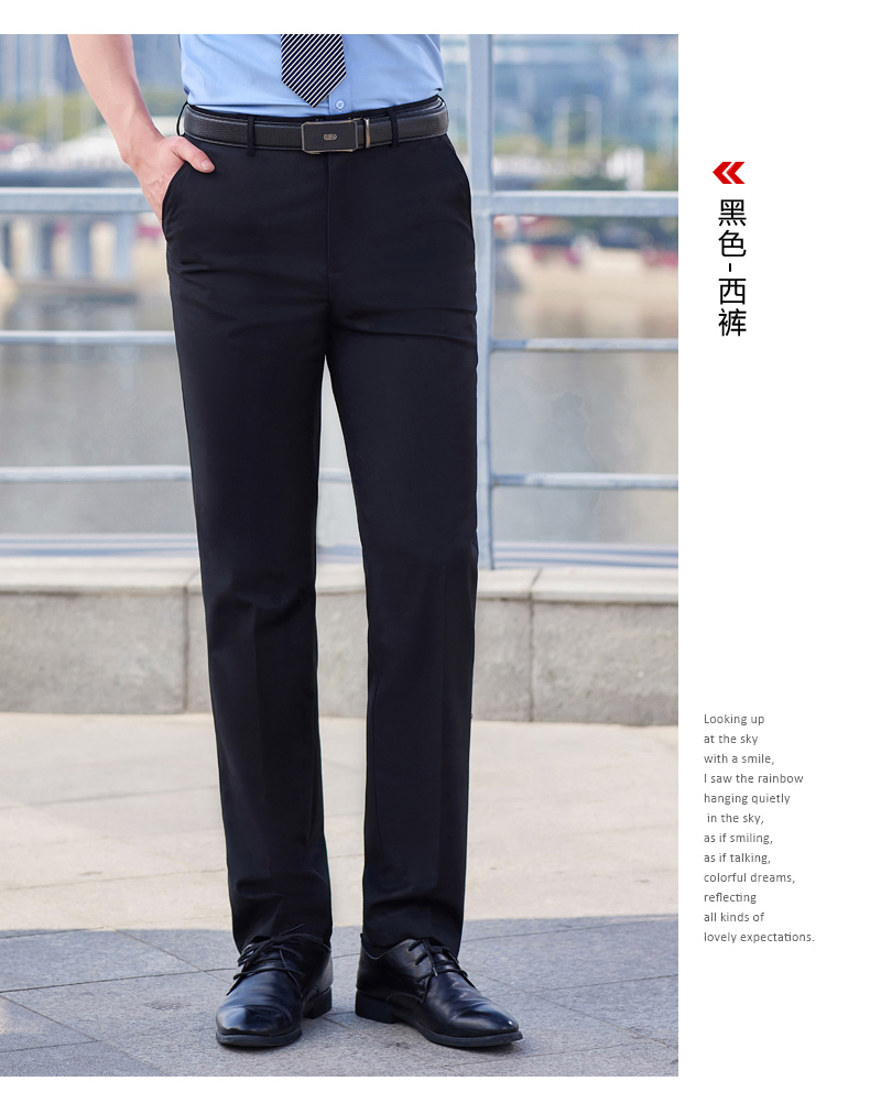 Serge business straight professional trousers men 171-805 men trousers