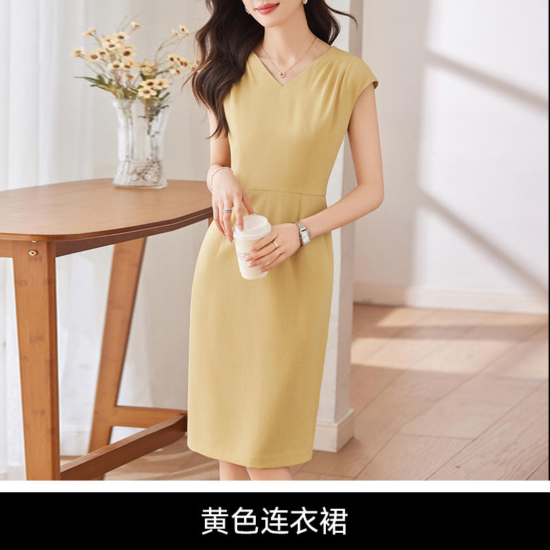 Pleated design soft and comfortable slim fit fashionable commuter dress DB1-209